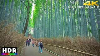 Kyoto Arashiyama Bamboo Forest Walk Japan • 4K HDR [upl. by Okime]