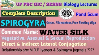 SPIROGYRA A COMPLETE DESCRIPTION [upl. by Kerwinn]