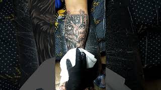 OWL TATTOO damasotattoo [upl. by Enitselec282]