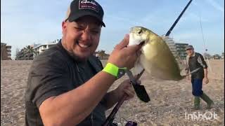 DORADAS CAPTURAS SURFCASTING PESCARseguimos tocando escama [upl. by Nitsirk]