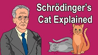 SCHRÖDINGERS CAT EXPLAINED [upl. by Nawak]