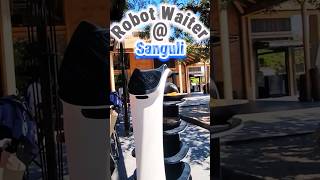 Robot waiter at Sanguli Resort Salou salou sanguli robot future cyberdyne skynet terminator [upl. by Mcnalley]