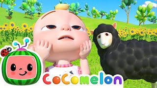 Baa Baa Black Sheep  CoComelon Animal Time  Animal Nursery Rhymes [upl. by Alyose753]