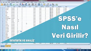 SPSS veri girişi SPSS anket verisi girişi [upl. by Otrebcire906]