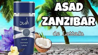 ASAD ZANZIBAR de LATTAFA [upl. by Pang930]