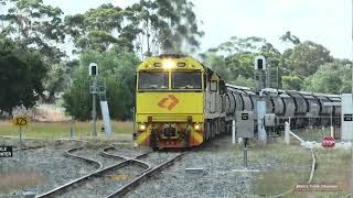 Aurizon south NSW grain train  March 2023 [upl. by Cini142]