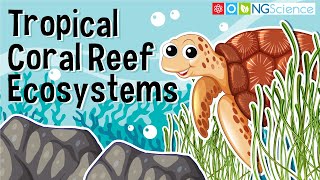 Tropical Coral Reef Ecosystems [upl. by Acessej]