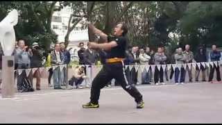 Dragon style kung fuMichael Chan71yoMui far kuenKung fu corner [upl. by Comethuauc]