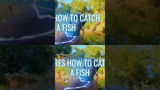 Catch a Fish in 3 Steps Easy Fishing Tutorial 2024 [upl. by Artaed]