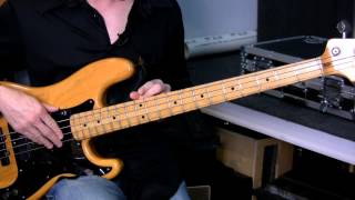 Difference Between Fretted amp Fretless Bass Guitars [upl. by Shelli]