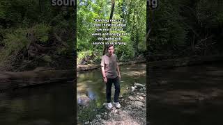 CREEK THOUGHTS Stream Afterthought by Soupless today glitch indiemusic nature chillmusic [upl. by Druce]