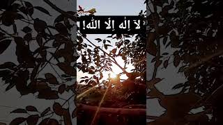 La ilaha il Allah Hamd sun rise nature [upl. by Santos]