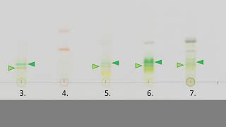 Interpretacja chromatografii barwników fotosyntetycznych [upl. by Nodlehs831]