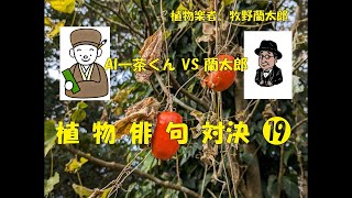 俳句対決⑲烏瓜AI一茶くんVS 蘭太郎 [upl. by Torosian462]