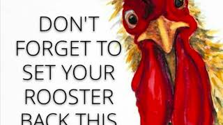 Clocks go back one hour tonight friendly reminder from our Rooster [upl. by Ailahk]