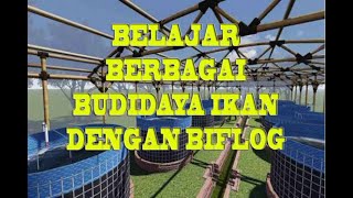 BELAJAR BUDIDAYA BERBAGAI IKAN DENGAN METODE BIOFLOG [upl. by Rasmussen]