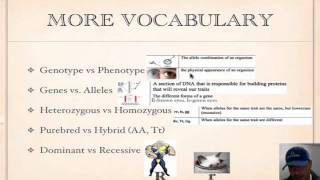 Genetics Vocabulary Tutorial [upl. by Aneerol]