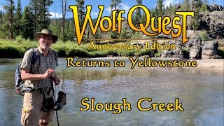 WolfQuest Returns to Yellowstone Slough Creek [upl. by Aiahc830]