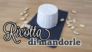 Ricotta di mandorle fatta in casa Ricetta vegana facile e veloce Formaggio per dolci e salati [upl. by Werdnaed734]