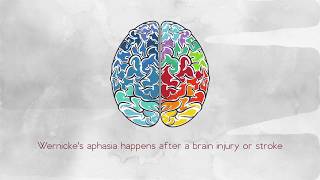 What Is Wernickes Aphasia [upl. by Yniffit]