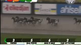 Elitloppet Heat 2013 Nesta Effe [upl. by Adnilam789]