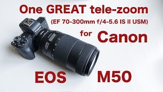 One great 70300mm telezoom for EOS M50 [upl. by Pillihp]