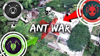 Theres a Massive ANT WAR Happening in My Backyard  The Battle for Antopia [upl. by Gibb]