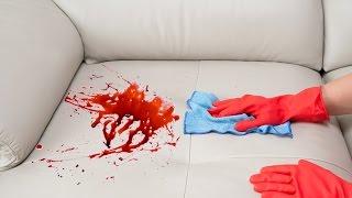 How To Remove a Stain from a Sofa [upl. by Adli133]