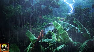 Rainforest Ambience Rain Sounds Jungle Animals and Thunder in the Distance  Relaxing Sleep Sounds [upl. by Goulder]