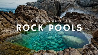 The Secret Life of Rock Pools [upl. by Alket]