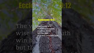 Ecclesiastes 1012 ⭐ bibleshorts bibleverse ecclesiastes [upl. by Sievert]