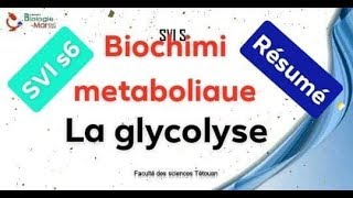 biochimie métabolique  Résumé de la glycolyse شرح بالدرجة [upl. by Ogg539]