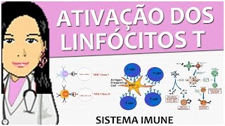 Imunologia 10  Ativação dos Linfócitos T  Vídeoaula de sistema imune [upl. by Ahselrac575]