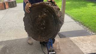 Huge Douglas Fir Round 5Ton Log Splitter [upl. by Ayak]