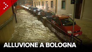 Alluvione a Bologna esonda il fiume Ravone la città inondata [upl. by Sausa]