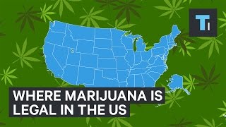 Where Marijuana Is Legal In The US [upl. by Viola]