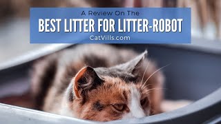 THE BEST CAT LITTER FOR LITTER ROBOT [upl. by Austina]