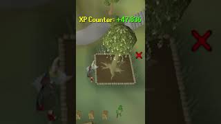 The Most Efficient Farm Run in OldSchool RuneScape osrs runescape oldschoolrunescape [upl. by Kaliski742]