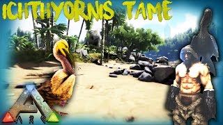 ARK THE ISLAND  ICHTHYORNIS TAME AND REVIEW OFFICIAL SERVER GAMEPLAY [upl. by Leiva]