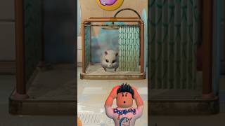 EVCİL HAYVANIM HAMSTER  HAMSTER PLAYGROUND GAMEshorts pratikoyun shortsviral trending [upl. by Nosnek]