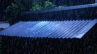 Sonido de Lluvia Relajarse para Dormir  10 Horas Lluvia y Truenos en Bosque para Dormir Instante [upl. by Goldman]