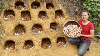 Making nests for chickens to lay eggs  Harvest many eggs go to market sell amp Start build ponds [upl. by Assilam541]