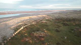 Tentsmuir Tank defences [upl. by Nnylamme]