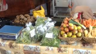 Chagford Primary School Farmers Market [upl. by Aixela]