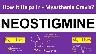 Pharmacology  Neostigmine  Myasthenia Gravis  5 Uses and Side Effects [upl. by Kcirdderf]