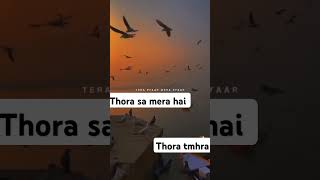 song tera pyar mera pyar [upl. by Llevad]