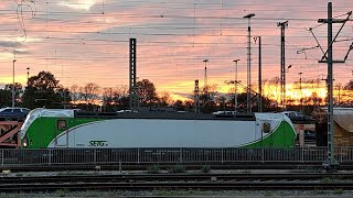 Augsburg Hbf Im Abendlicht LOCMASTA m Autozug SETG Vectron 1000 Lint ICE1 ICE3 Neo amp ICE4 [upl. by Ayahc238]