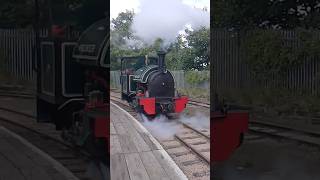 Saddle Tank Premier light working on SKLR [upl. by Navnod]