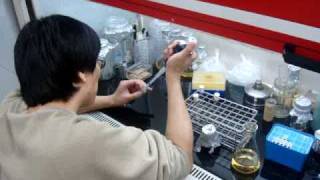 Electroporation in a Korean Lab [upl. by Paapanen]