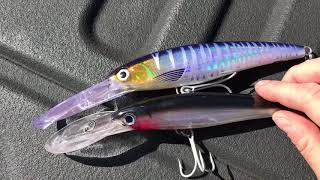 Rapala X Rap 40 deep diver  tackle review [upl. by Joelie210]